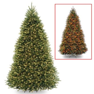 National Tree Company - National Tree 12' Dunhill Fir Tree with 1200 Dual Color LED Lights and Power Connect