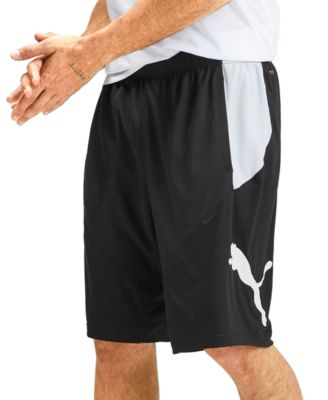 Puma - Men's Colorblocked Logo 10" Shorts
