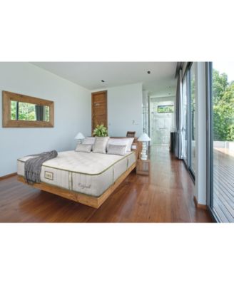 Paramount - Nature Spa Exhale 2.0 13" Plush Mattress Set-Queen