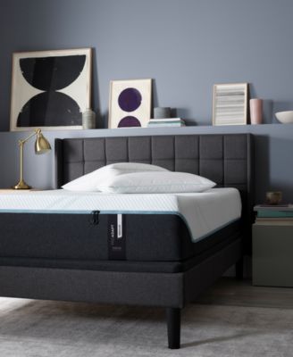 Tempur-Pedic - TEMPUR-ProAdapt 12" Medium Mattress Set- Twin