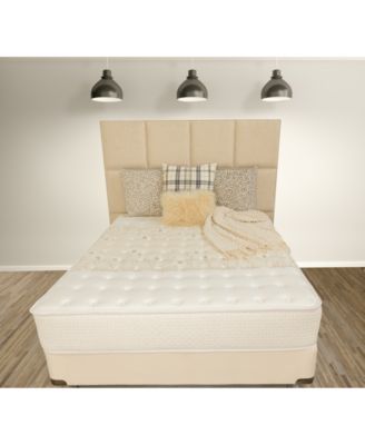 Paramount - Celestial 12" Extra Firm Mattress- Queen