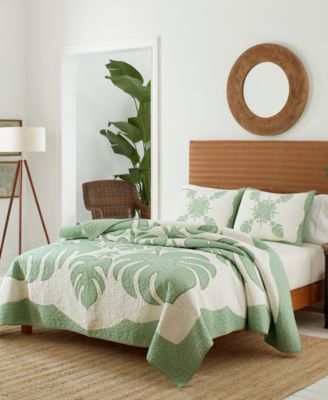 Tommy Bahama