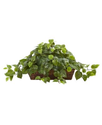Nearly Natural - Natural Pothos Artificial Plant in Ledge Basket