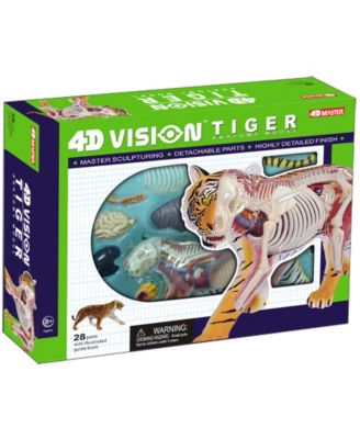 4D Master